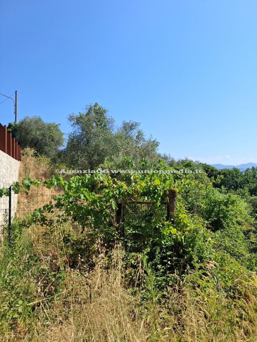 Rustico, Arcola — foto 5 di 5