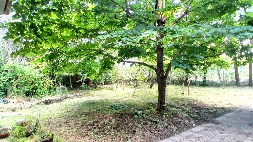 Casa indipendente in Contrada Marcianello 4, Paliano — foto 2 di 5