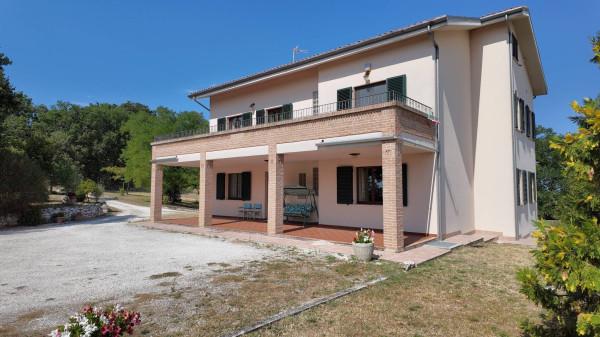 Villa plurifamiliare, Senigallia — foto 5 di 5