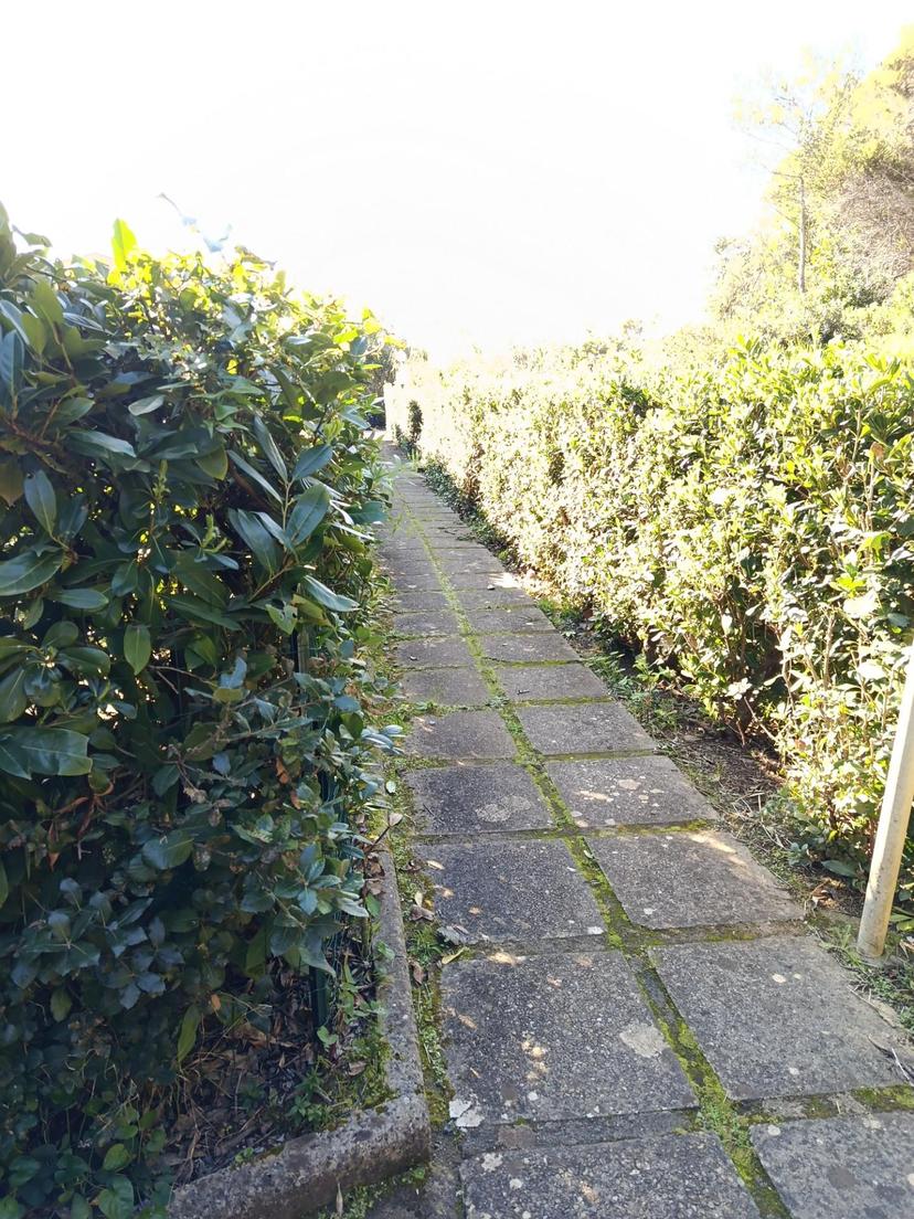 Bilocale, Rosignano Marittimo — foto 2 di 5