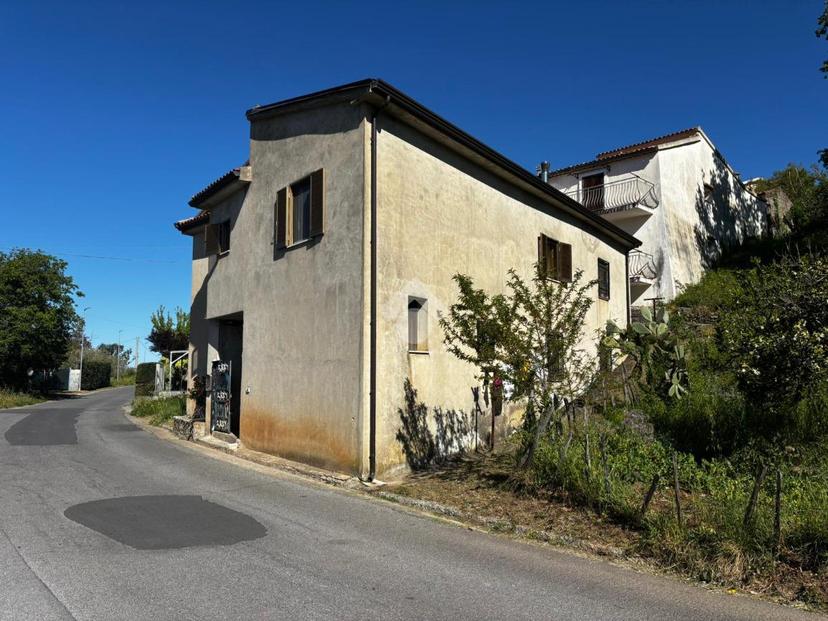 Casa indipendente in Contrada Carpine 4, Maierà — foto 5 di 5