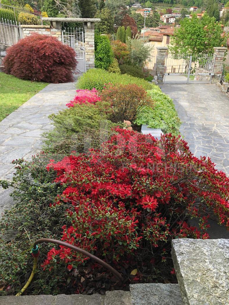 Villa in Via Ponte Oscuro Snc, Asso — foto 3 di 5