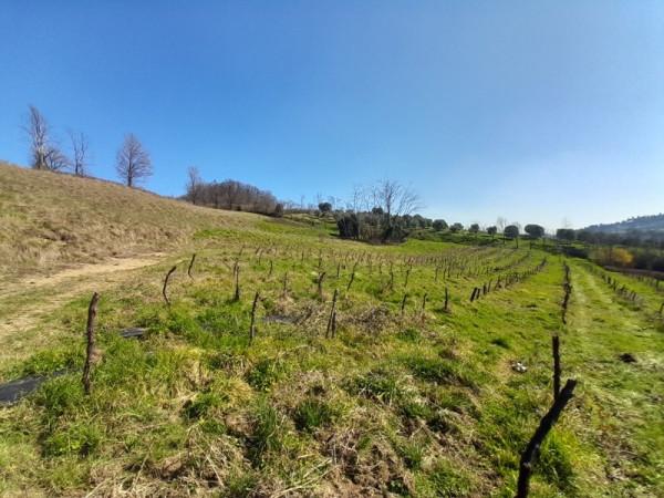 Rustico in Via Pirio, Torreglia — foto 2 di 5