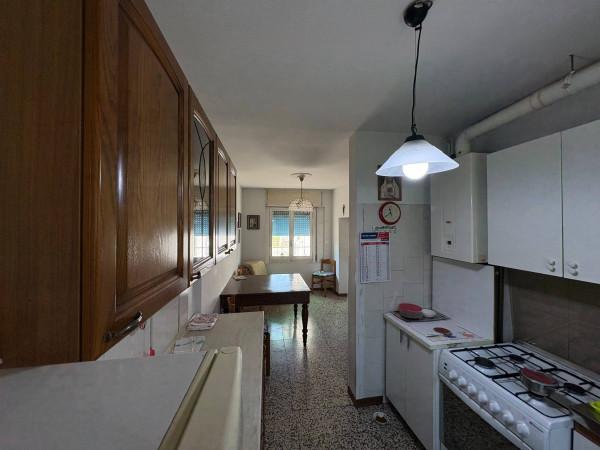 Terratetto plurifamiliare in Piazza Don Giuseppe Andreoli 29, San Possidonio — foto 2 di 5
