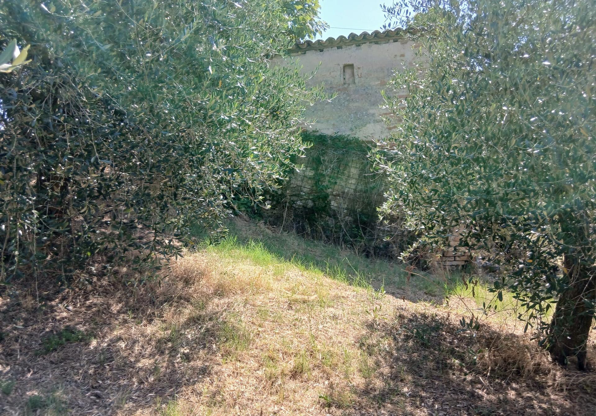 Rustico in Vocabolo Merolfo, Montecastrilli