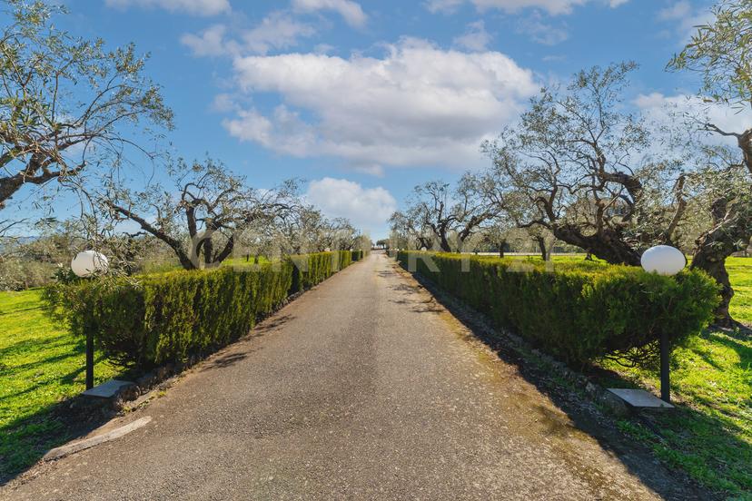 Villa in Strada Comunale Calderara 5, Randazzo — foto 4 di 5