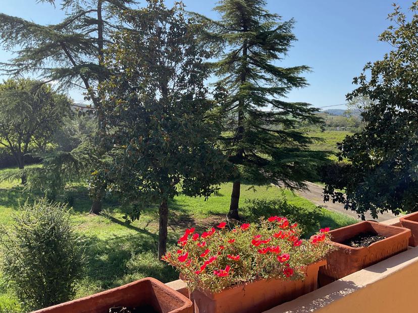 Appartamento in Via delle Regioni  74, Pesaro — foto 5 di 5