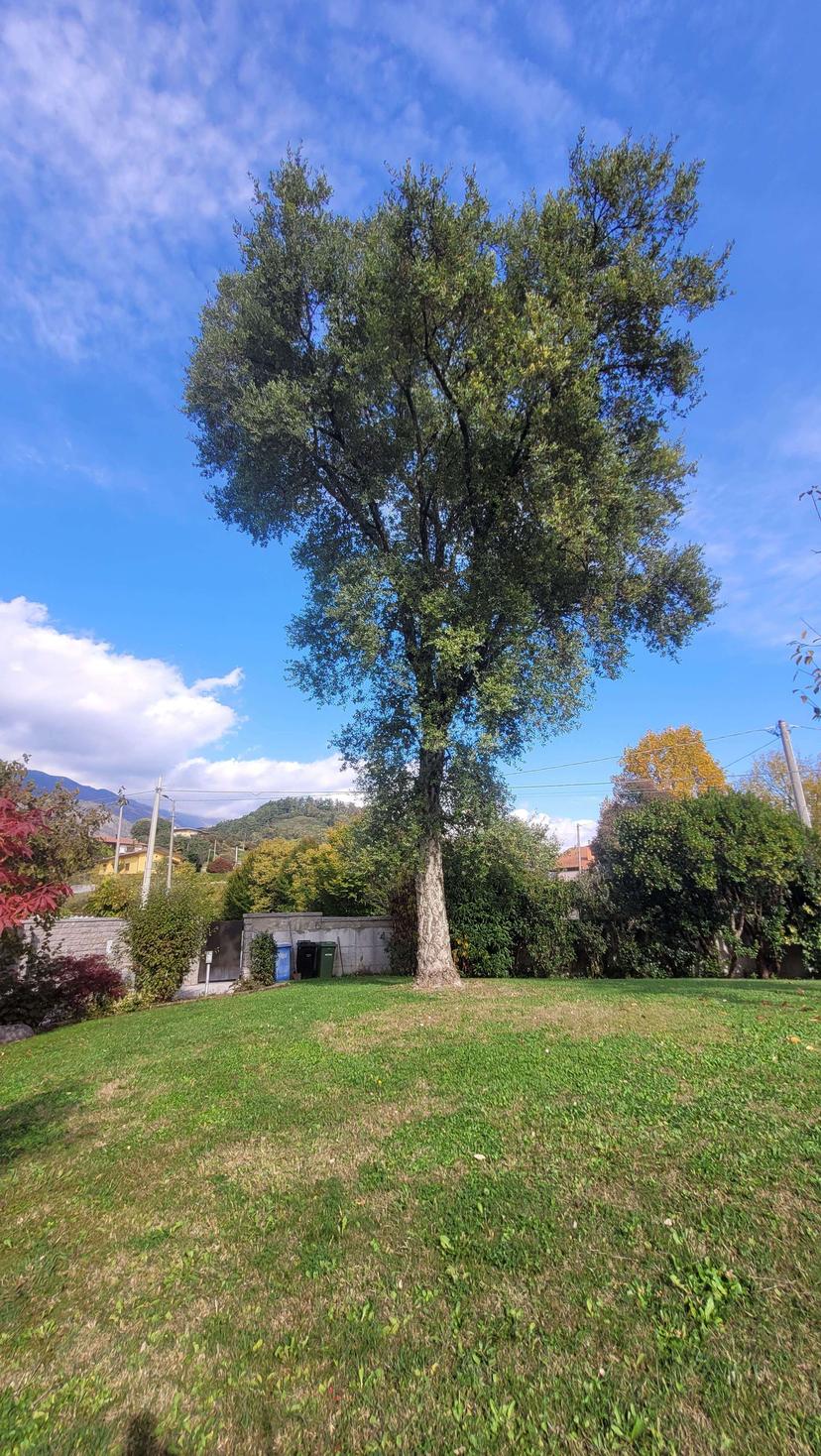 Villa unifamiliare, Polcenigo — foto 3 di 5