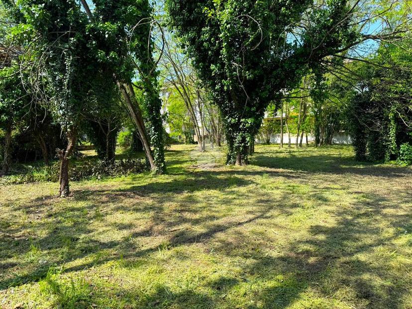 Appartamento in Via Antonio Placucci 37, Forlì — foto 3 di 5