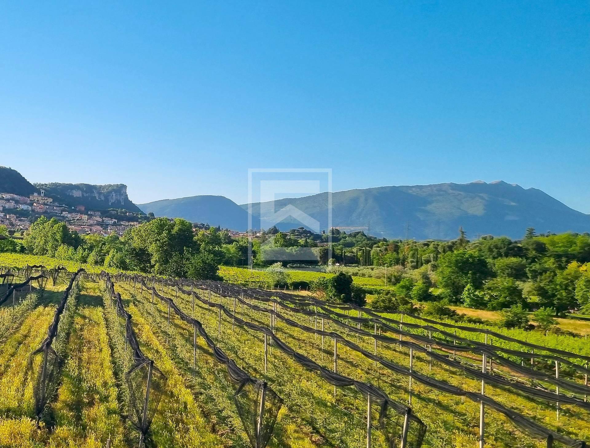 Rustico in Località Pozzoi, Cavaion Veronese