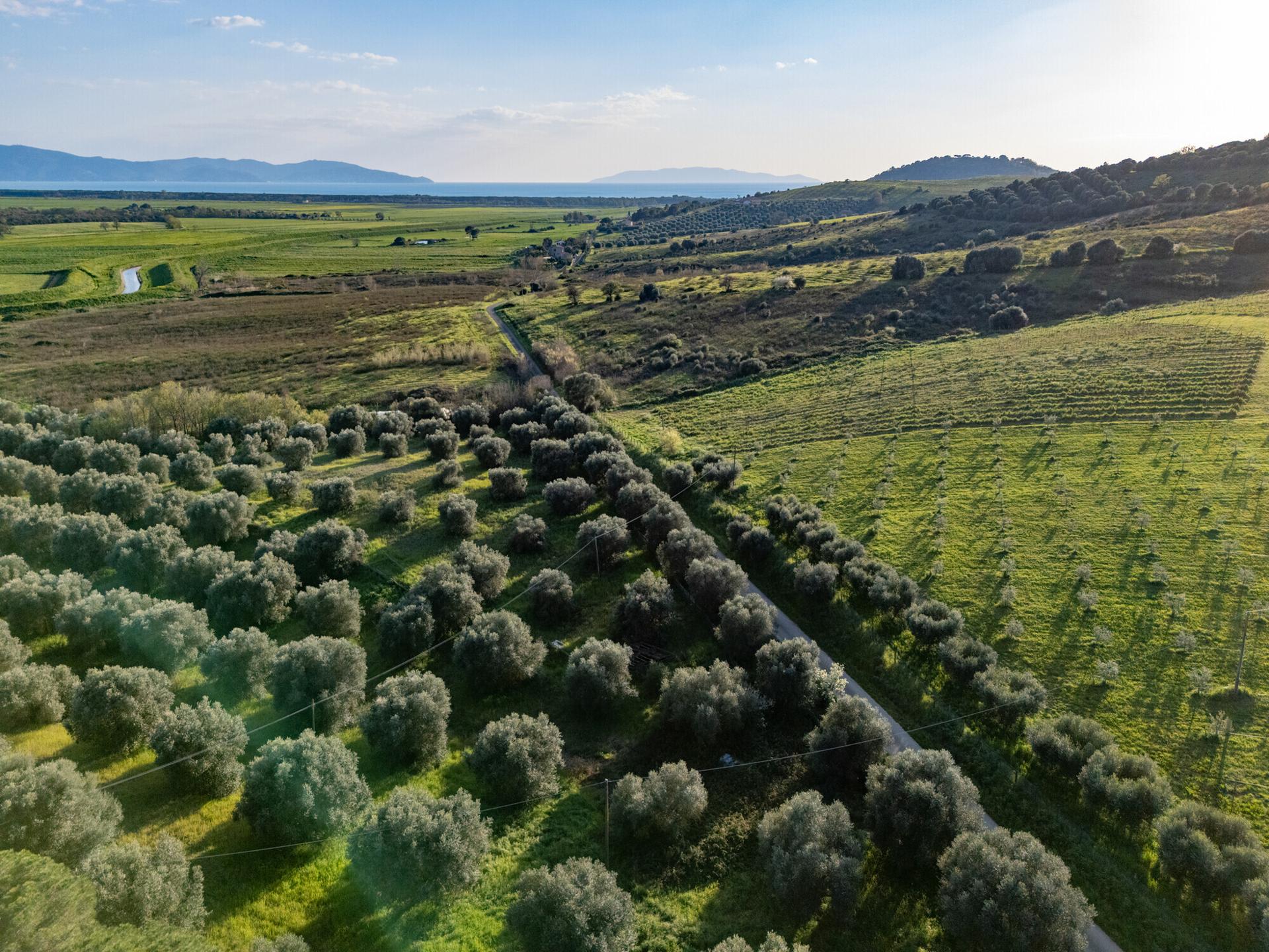 Casale, Orbetello