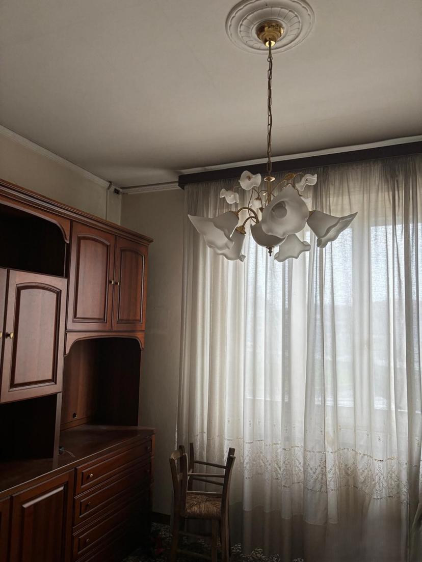 Casa indipendente, Badia Polesine — foto 2 di 5