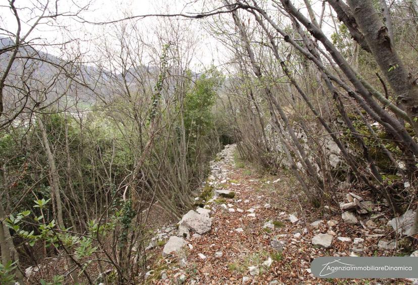 Rustico, Revine Lago — foto 4 di 5