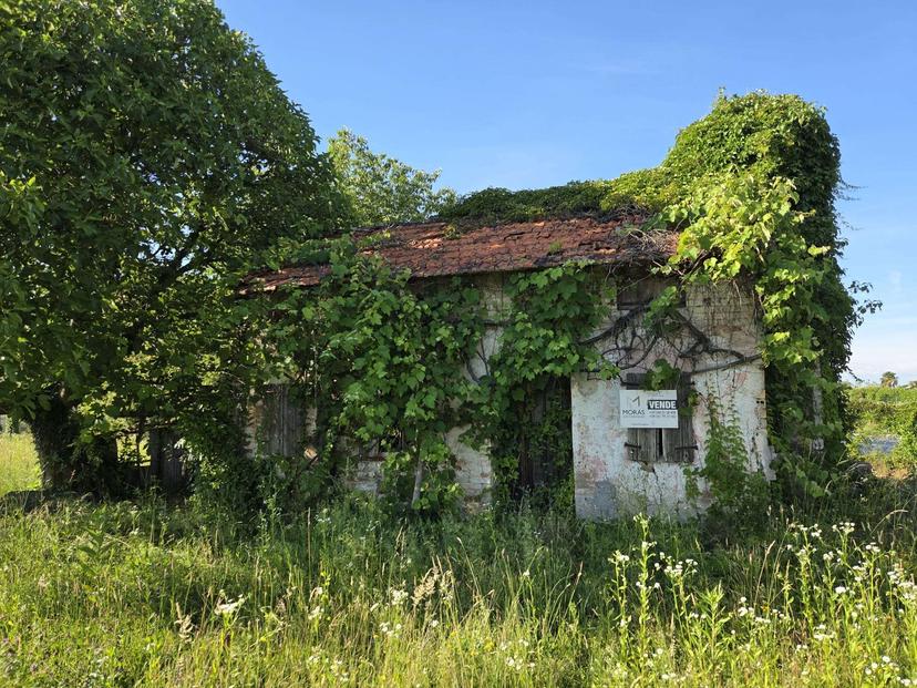 Rustico, Azzano Decimo — foto 4 di 4