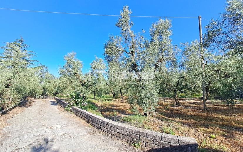 Villa in Via delle Terme Romane, Sonnino — foto 2 di 5