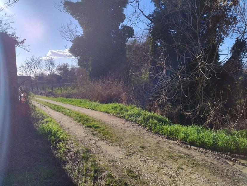 Rustico in Località Campagna 1, Torgiano — foto 2 di 5