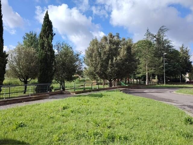 Trilocale, Vinci — foto 4 di 5