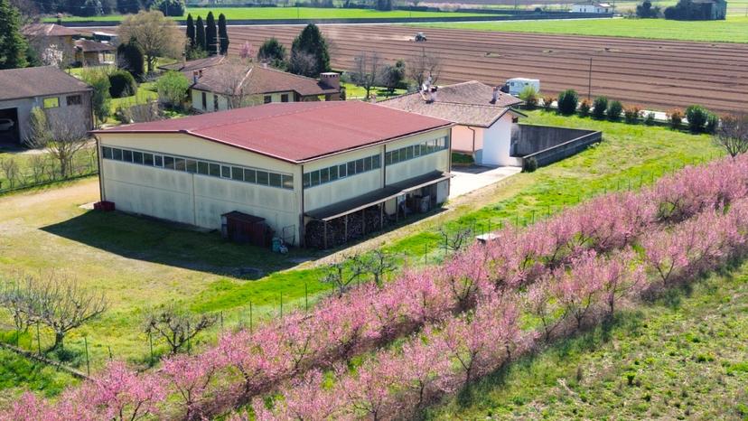 Villa, Villafranca di Verona — foto 2 di 5