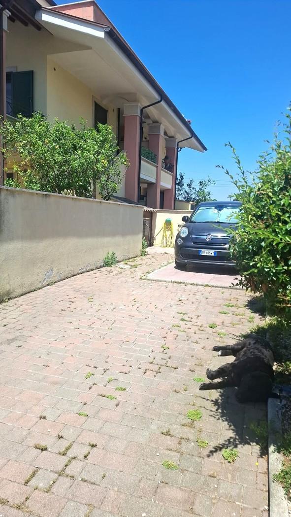 Casa indipendente in Via delle Primule , Pomezia — foto 2 di 5