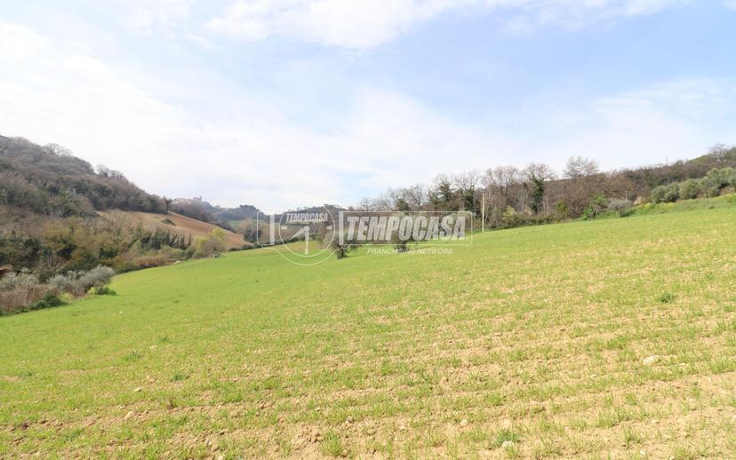 Casa colonica in Contrada Marezi 29, Massignano — foto 5 di 5