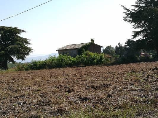 Rustico in Loc. Bucciotti, Orvieto — foto 2 di 5