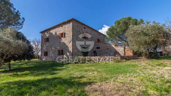 Casale in Strada Provinciale 101, Orvieto — foto 5 di 5