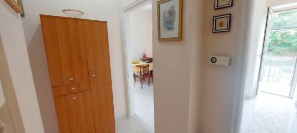 Trilocale in Via Palazzo 56, Trecchina — foto 2 di 5