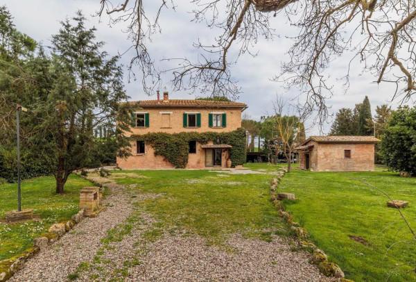 Rustico in Strada Provinciale Lauretana, Asciano — foto 3 di 5