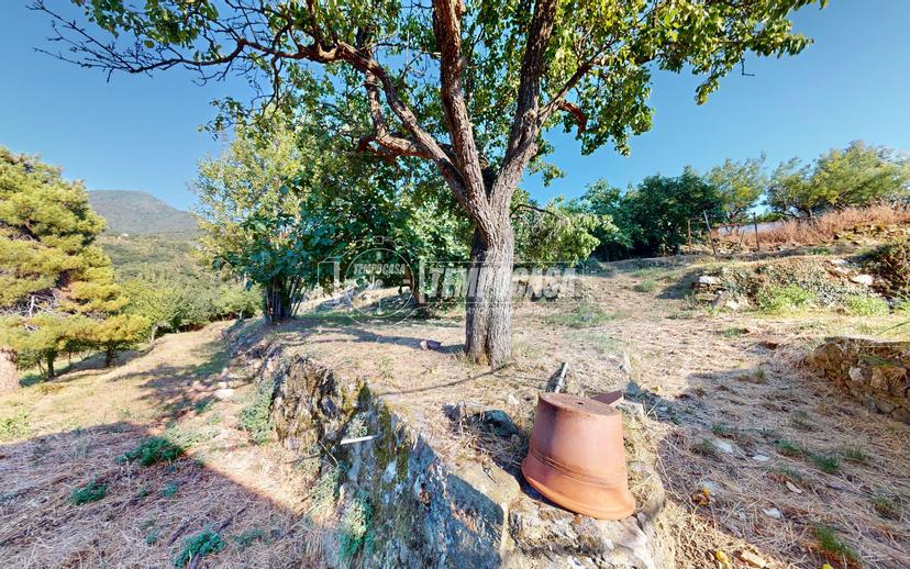 Casa indipendente in Località Moglie 8, Perinaldo — foto 5 di 5