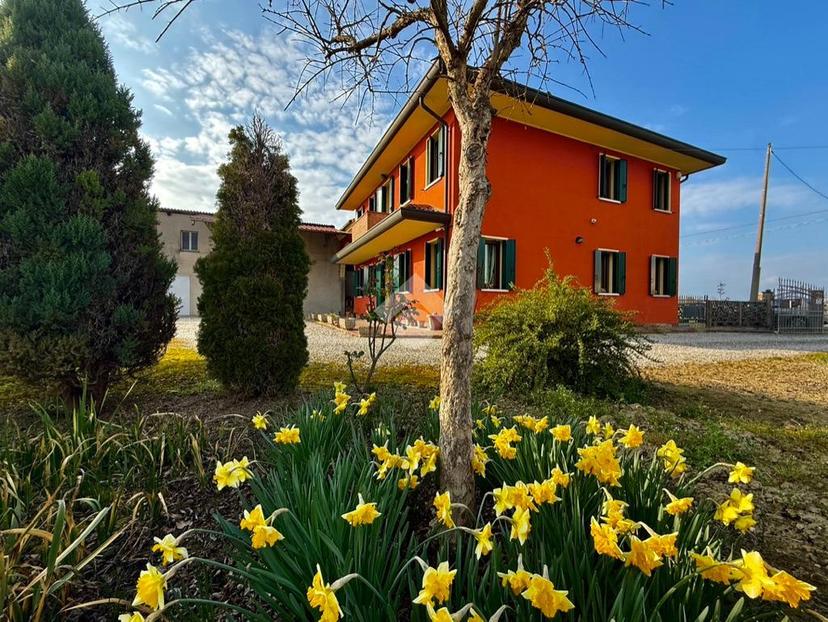 Casa indipendente in V. Pelosa 35, Mestrino — foto 3 di 5