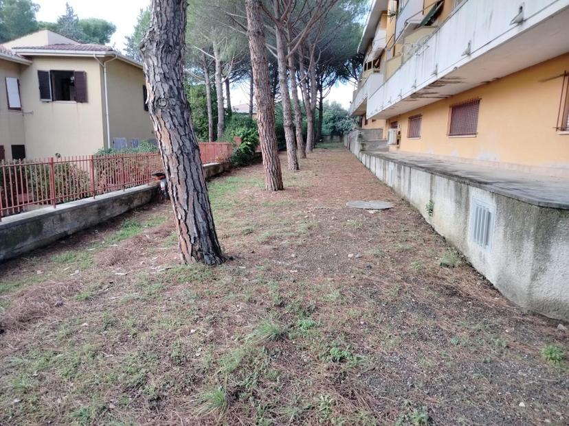 Trilocale, Rosignano Marittimo — foto 3 di 5