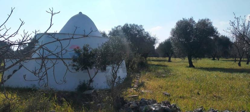 Abitazione tipica, San Vito dei Normanni — foto 3 di 5
