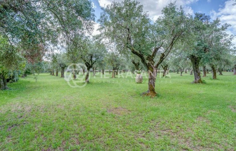 Villa, Seravezza — foto 3 di 5