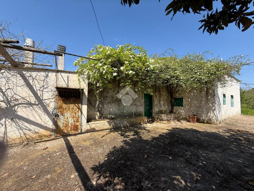 Trilocale in Contrada Ulmo, Ceglie Messapica — foto 4 di 5