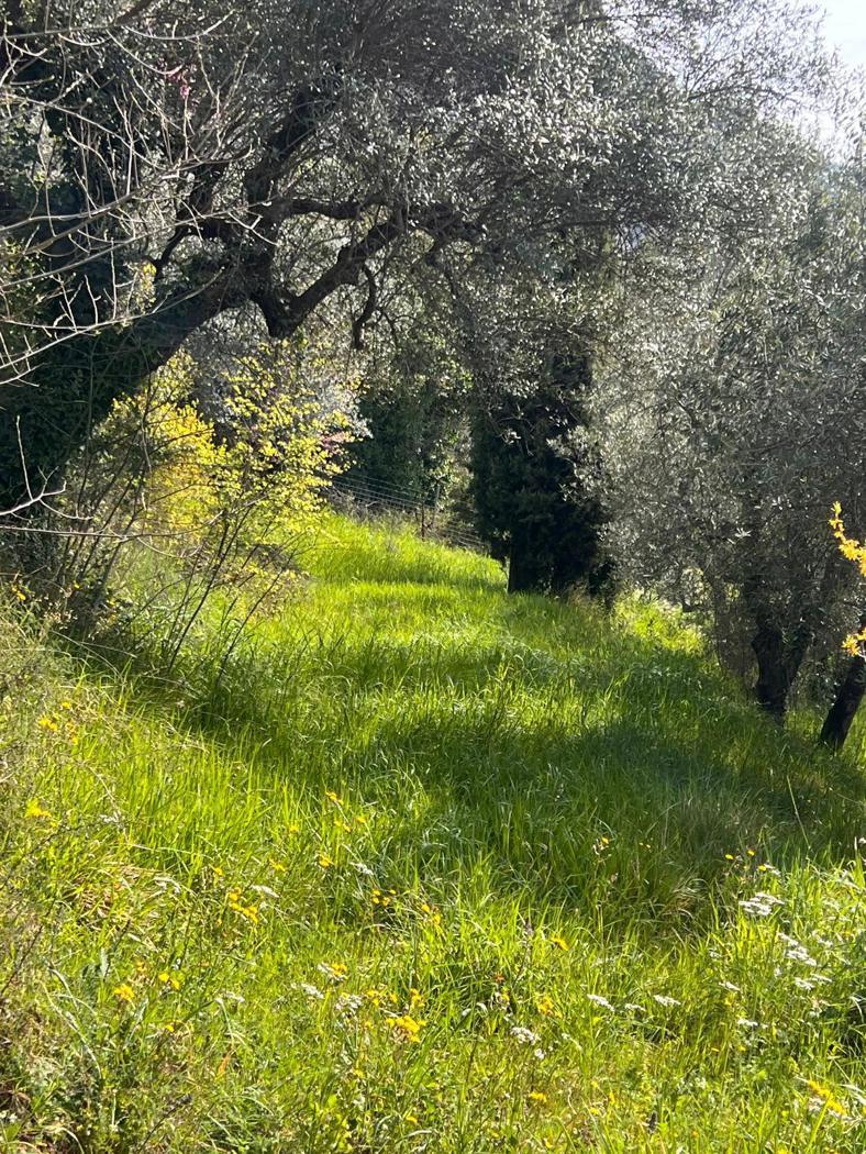 Rustico in Via della Lince, Terni — foto 2 di 5