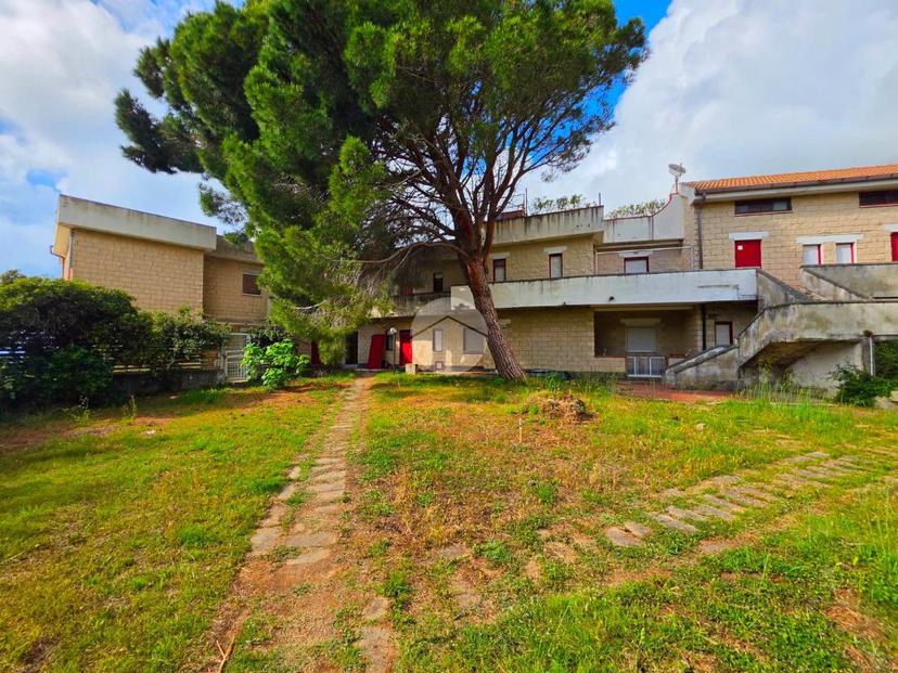 Trilocale in Contrada Vannefora 54, San Nicola Arcella — foto 4 di 5