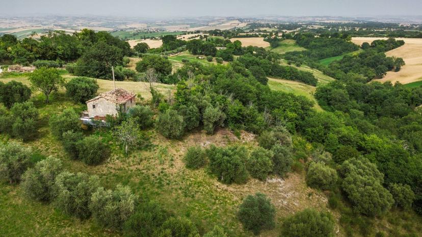 Rustico, Cingoli — foto 3 di 5