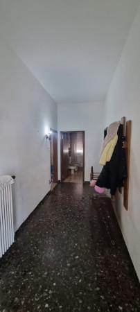 Villa in Via Fratelli Cervi, Campagna Lupia — foto 4 di 5