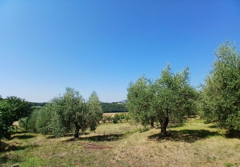 Rustico in Vocabolo Merolfo, Montecastrilli — foto 2 di 5
