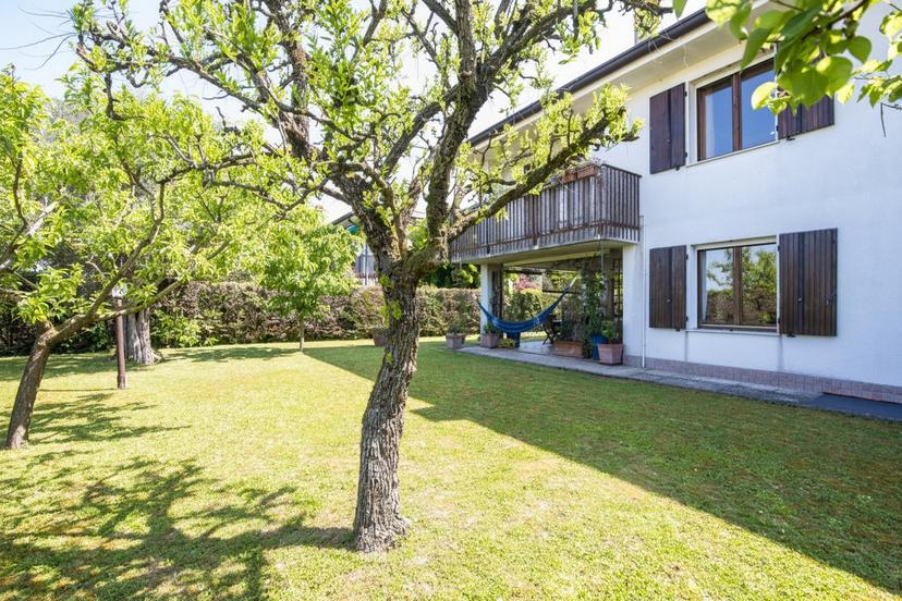 Villa, Due Carrare — foto 3 di 5