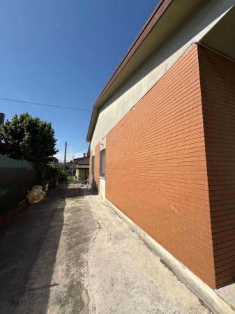 Villa, Suzzara — foto 5 di 5