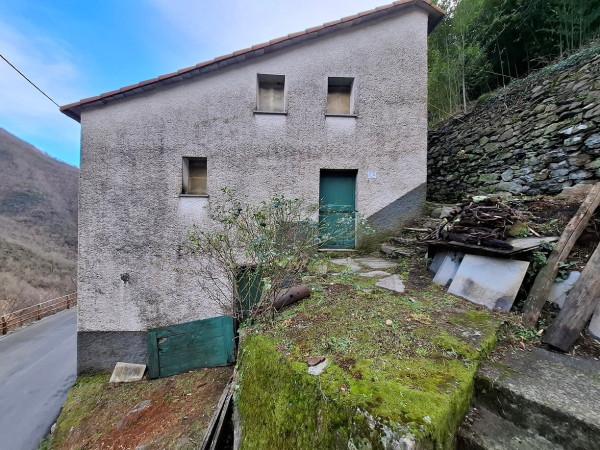 Terratetto unifamiliare, Lorsica — foto 3 di 5