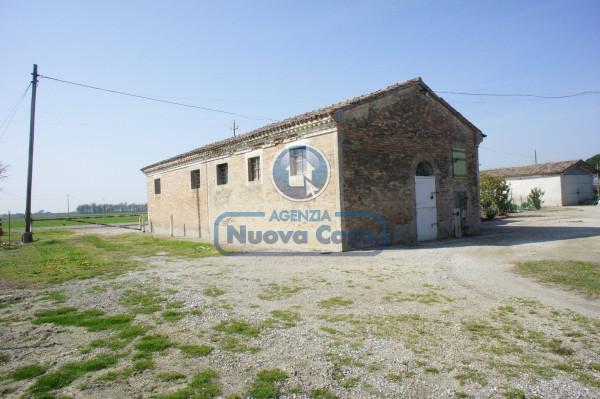 Cascina in Carraia Vangaticcio 8, Ravenna — foto 4 di 5