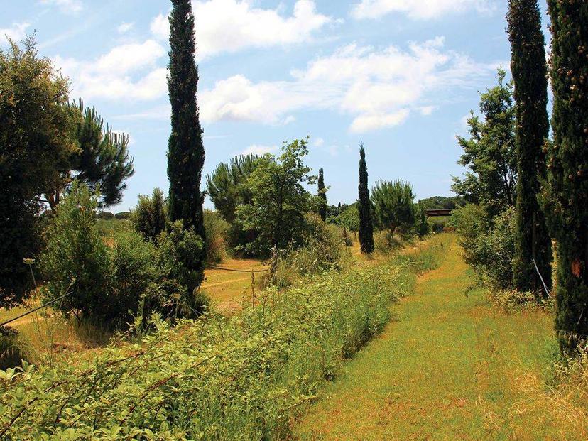 Rustico, Castiglione della Pescaia — foto 4 di 5