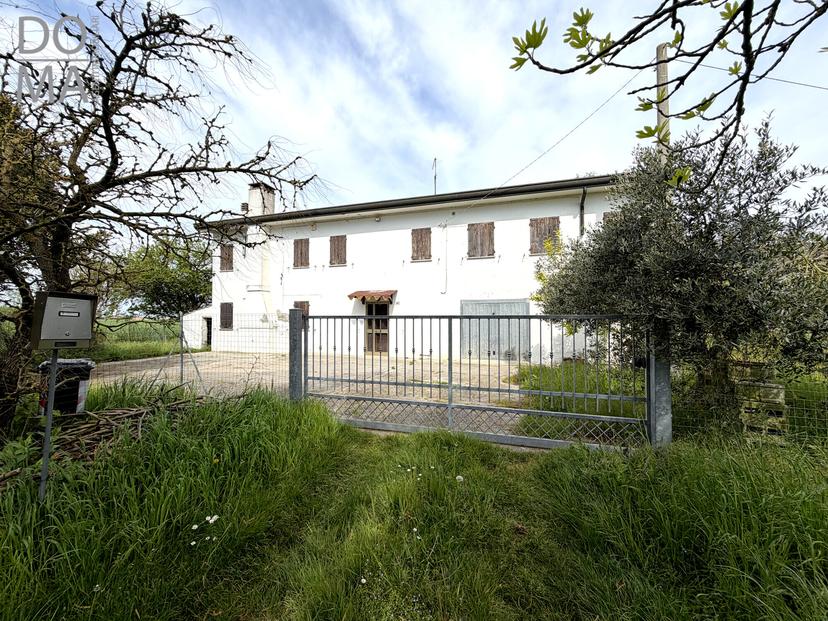 Casa indipendente, Taglio di Po — foto 3 di 5