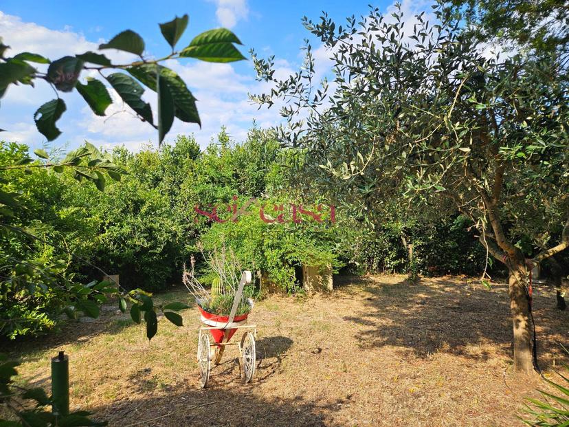 Rustico in Barbaruta, Grosseto — foto 4 di 5