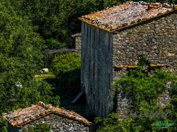 Rustico, Montieri