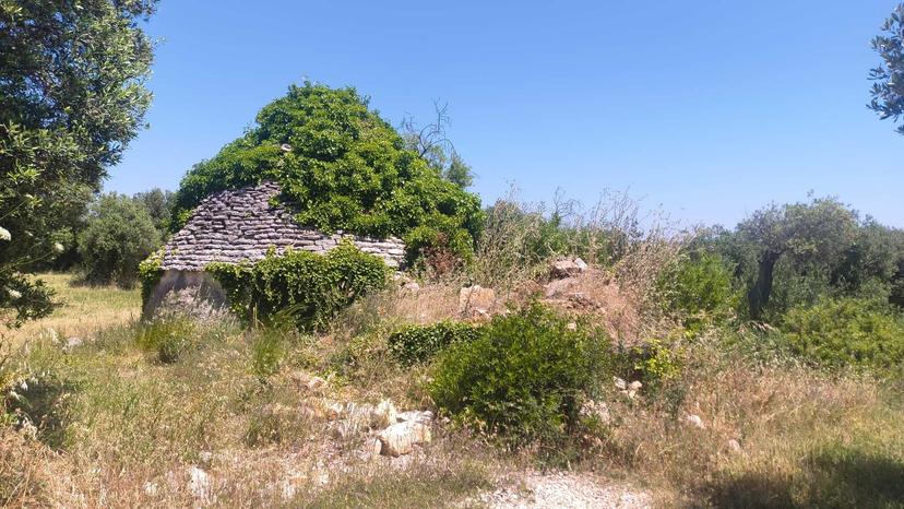 Casa indipendente in Contrada Balice, Monopoli — foto 4 di 5