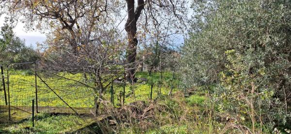 Casale, Maratea — foto 4 di 5