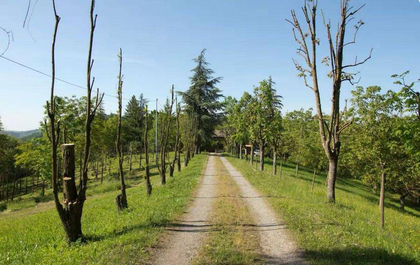 Rustico in Via Lolli, Vezzano sul Crostolo — foto 4 di 5